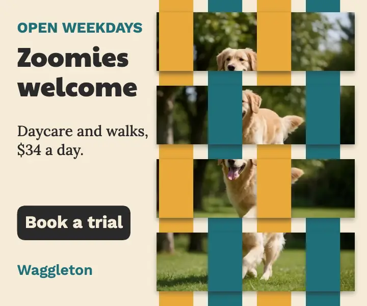 Waggleton dog daycare photo weave ad template