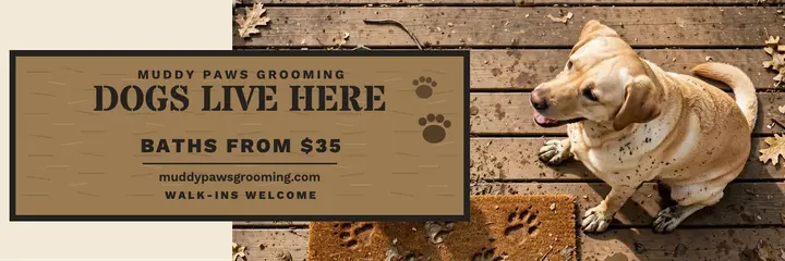 Muddy Paws Grooming doormat header template