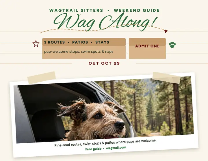 Wagtrail dog getaway guide flyer: dog getaway guide flyer template