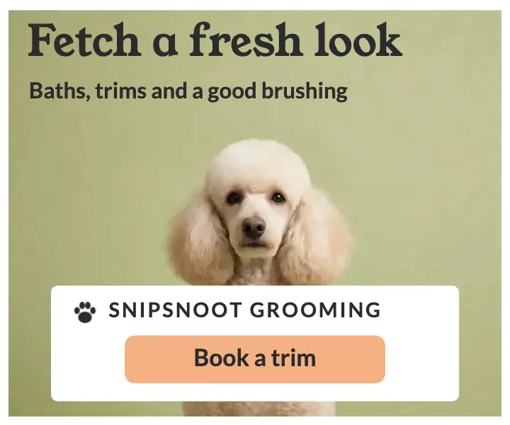 Snipsnoot dog grooming banner ad, sixties print template