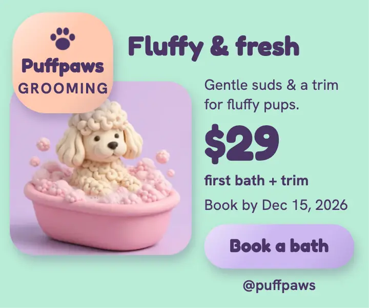 Puffpaws Grooming first bath clay ad template
