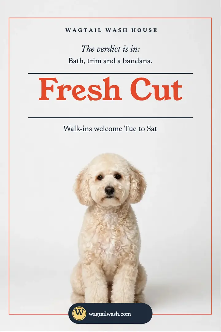 Wagtail Wash House fresh cut dog groomer poster template