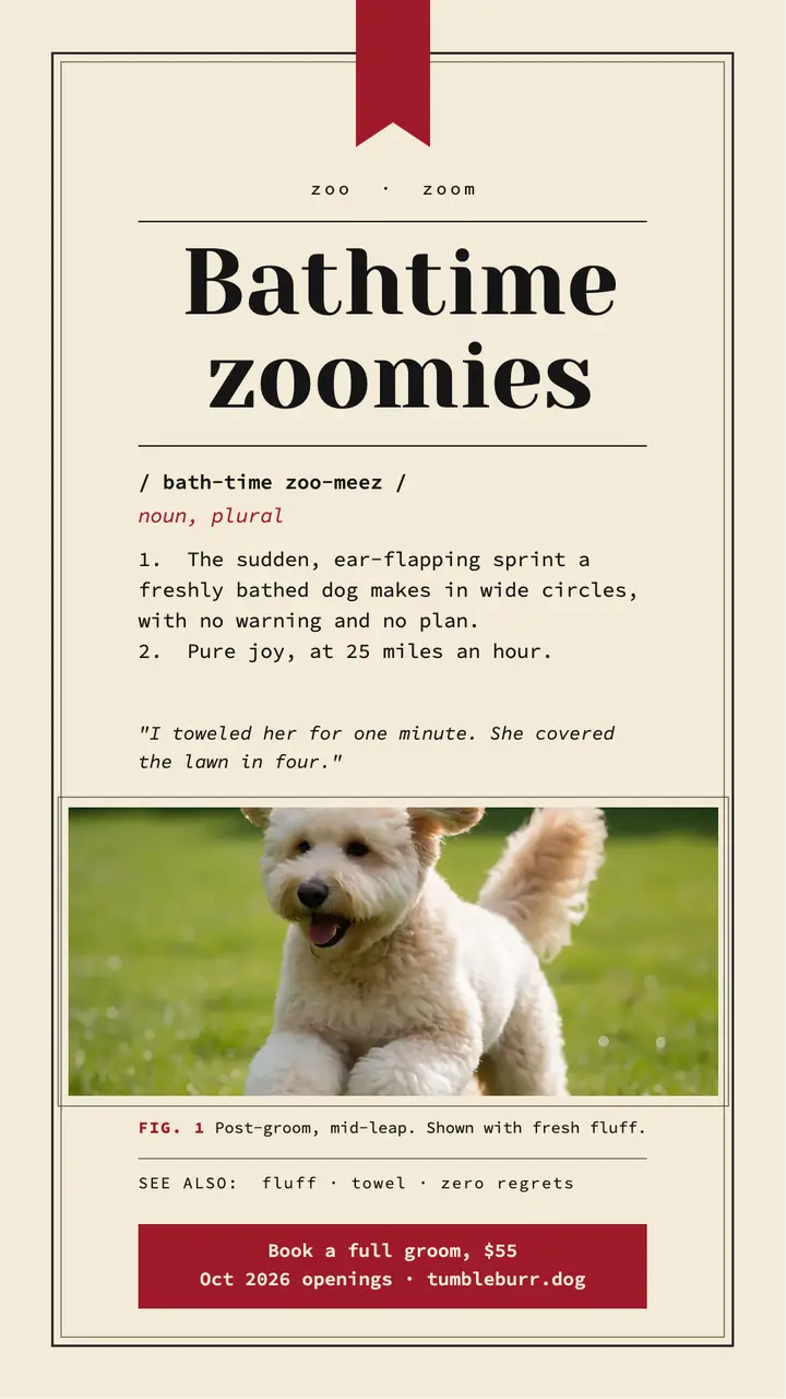Tumbleburr dog groomer zoomies dictionary story: dog groomer story template