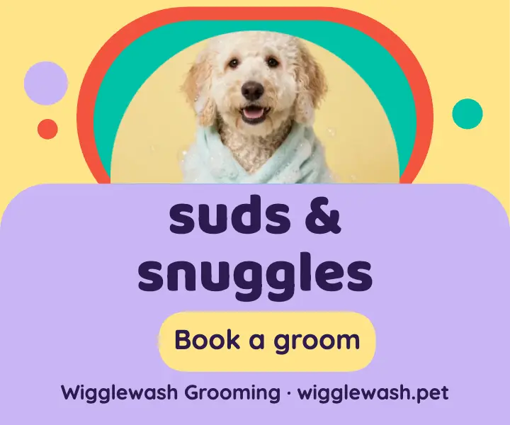 Wigglewash Grooming bath day display ad template