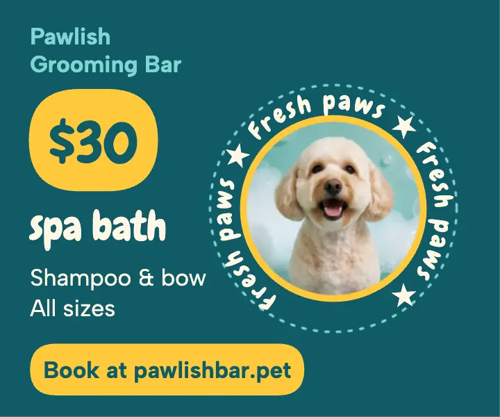 Pawlish Grooming Bar spa bath special ad template