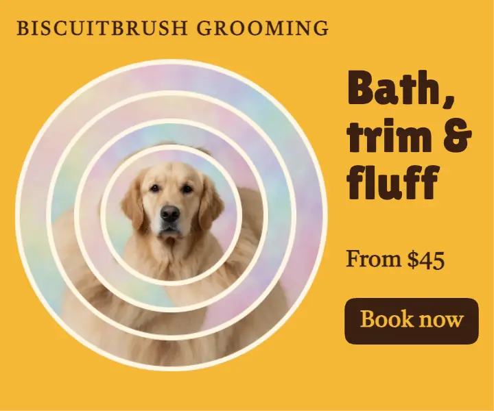 Biscuitbrush dog grooming ring slices ad: dog grooming display ad template