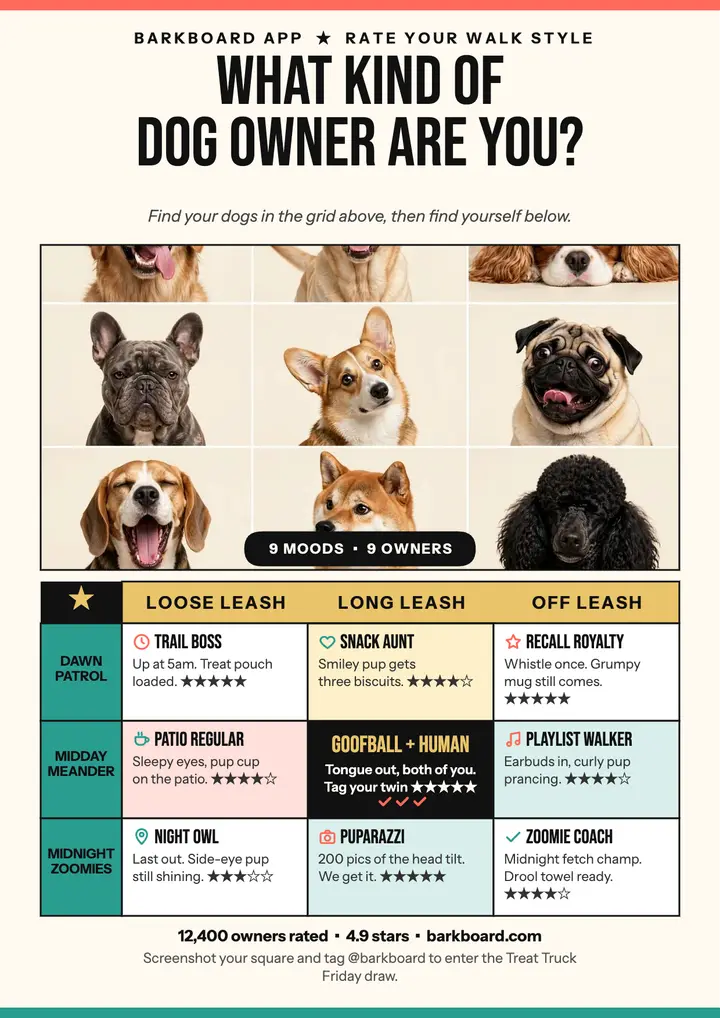Barkboard dog owner alignment flyer: dog owner alignment chart template