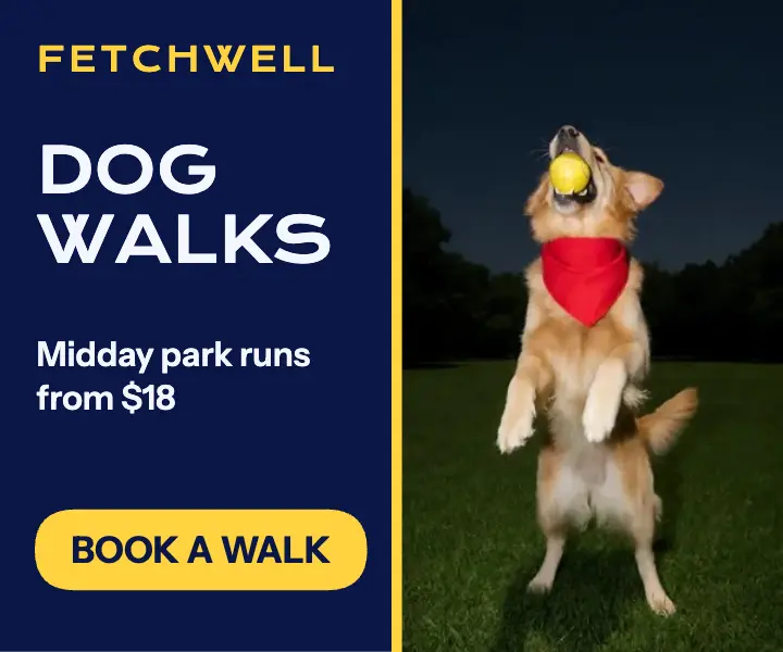 Fetchwell dog walks medium rectangle ad template