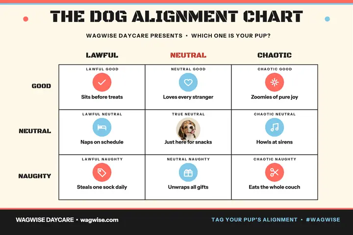 Wagwise dog alignment chart postcard template
