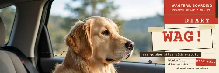 Wagtrail road trip diary header: dog boarding x header template