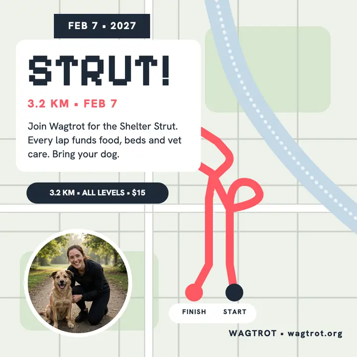 Wagtrot Shelter Strut charity walk template
