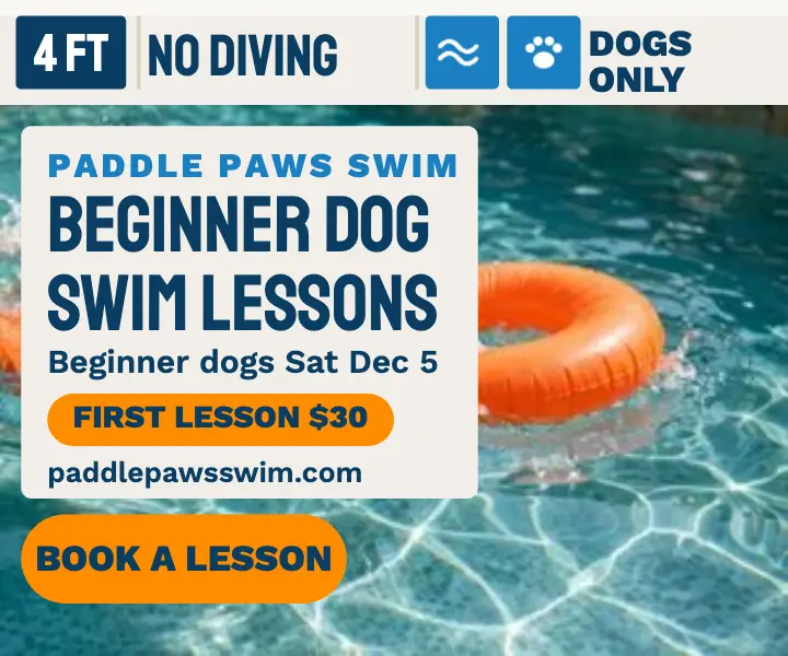 Paddle Paws dog swim lesson tile ad template