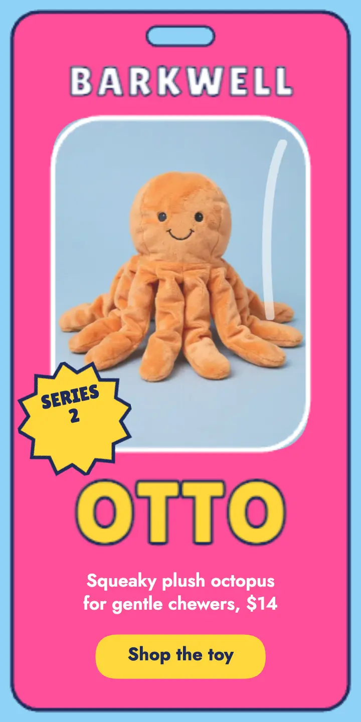Barkwell Otto the octopus toy ad template
