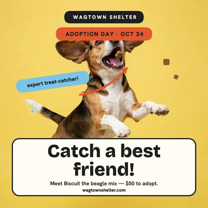 Catch a best friend dog adoption post template