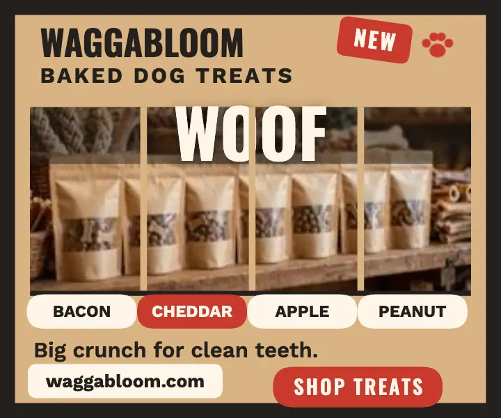 Waggabloom shelf WOOF rectangle ad template