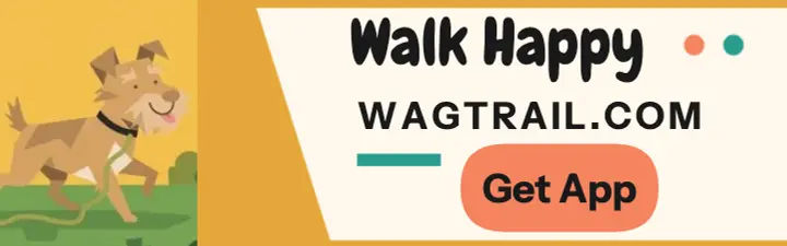 Wagtrail dog walk cartoon mobile ad: dog walking app ad template