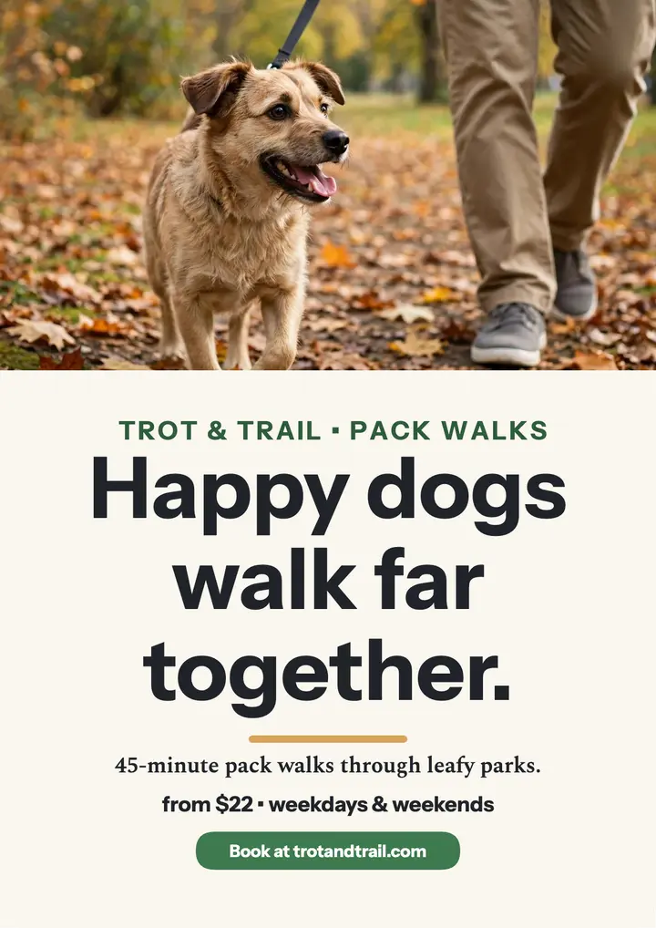 Trot and Trail pack walks flyer template