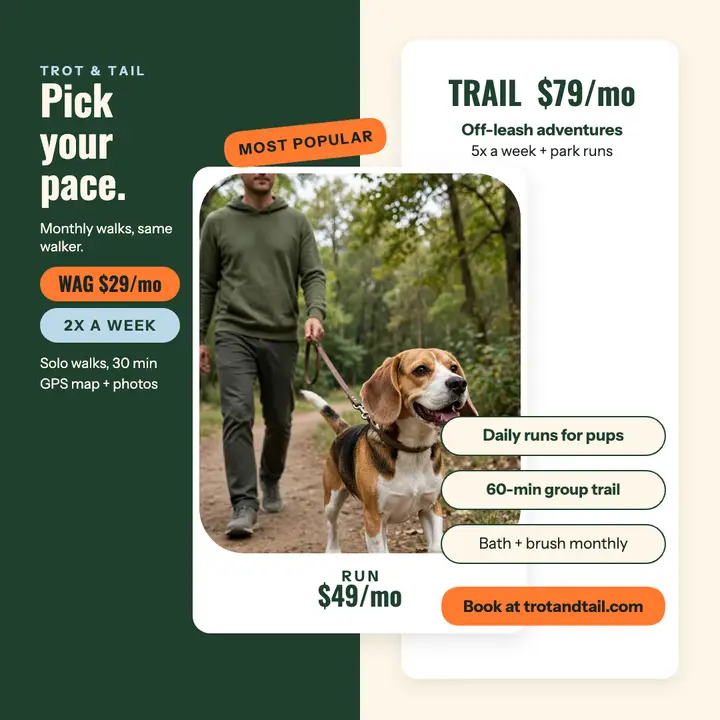 Trot and Tail dog walk plans template