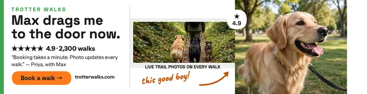 Trotter Walks dog review billboard template