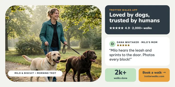 Trotter Walks reviews bento post template