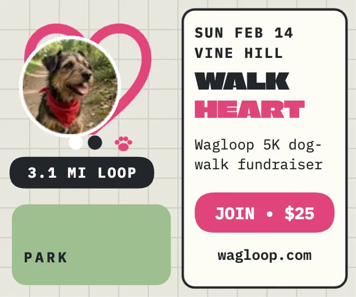 Wagloop Valentine dog walk route ad template