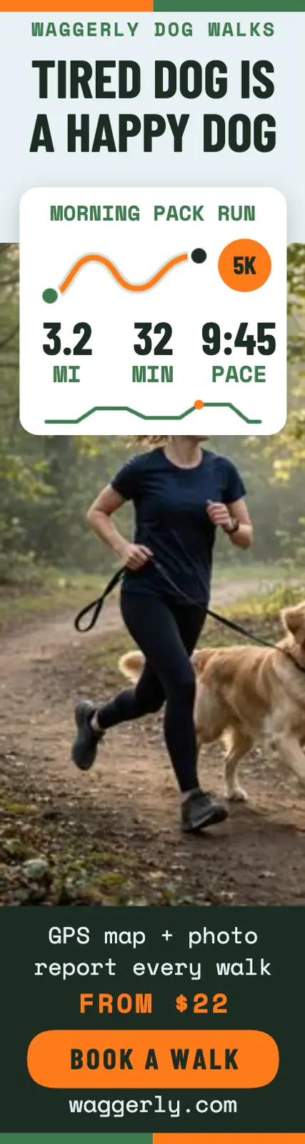 Waggerly dog walk stats skyscraper ad template