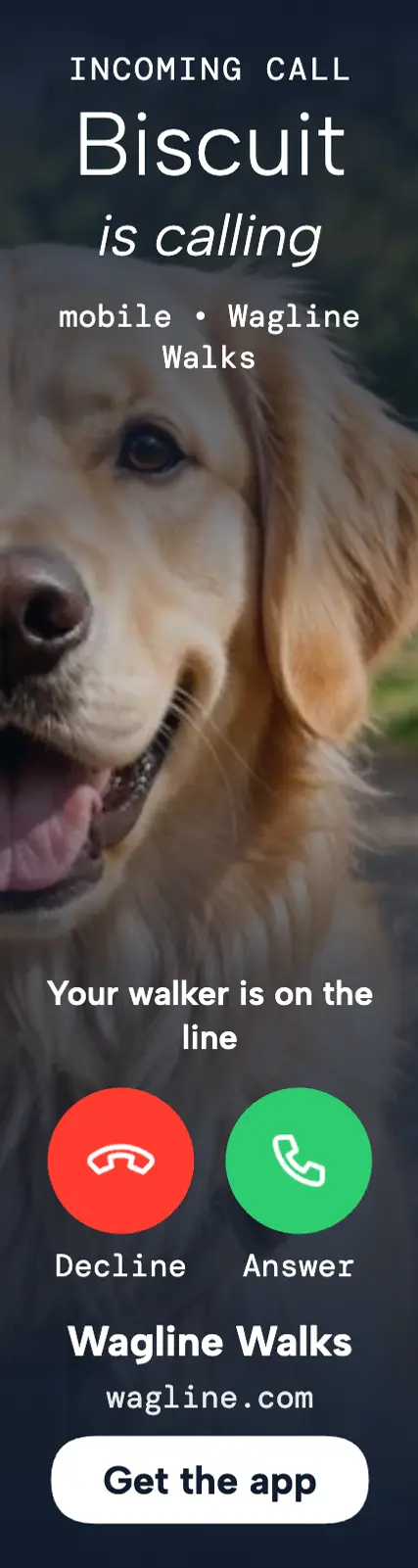 Wagline Walks incoming call skyscraper ad: dog walker app ad template