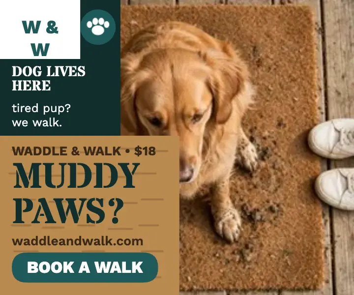 Waddle and Walk doormat dog walking ad template