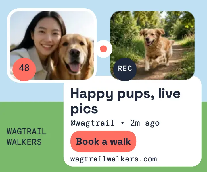 Wagtrail Walkers dual camera mini ad template