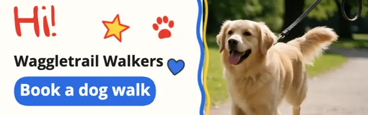 Waggletrail Walkers dog walking crayon mobile banner ad: dog walking mobile banner ad template