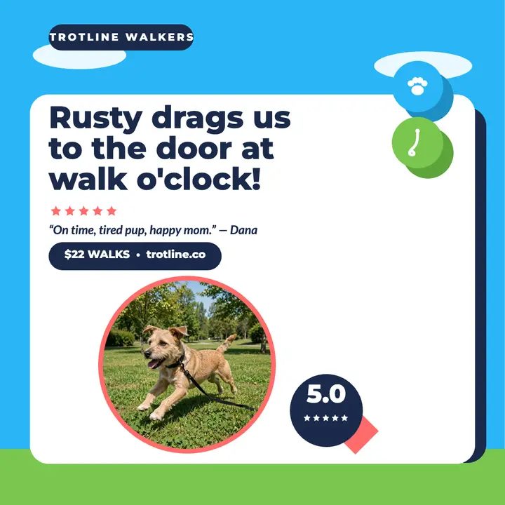 Trotline Walkers five star review post: dog walking review post template