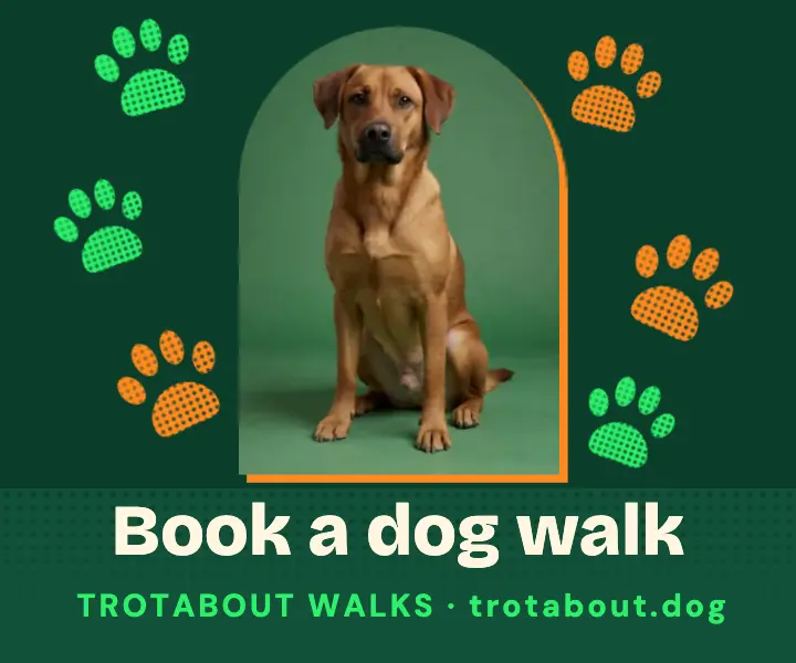 Trotabout Walks dog walking display ad template