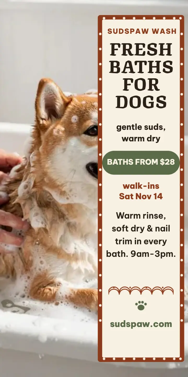 Sudspaw Wash stencil dog wash ad: dog wash ad template