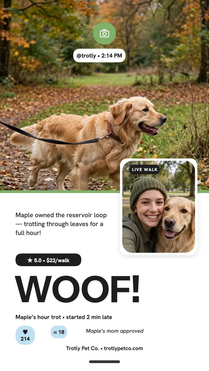 Trotly dog walk dual-camera story template
