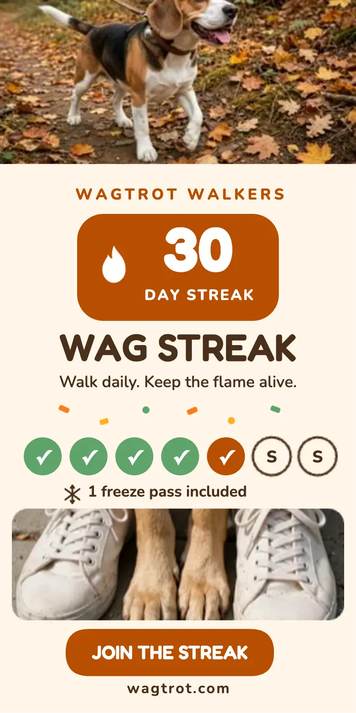 Wagtrot 30-day wag streak half-page ad template