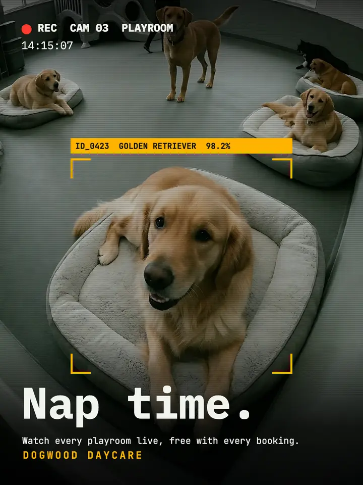 Dogwood Daycare live cams post, surveillance frame template