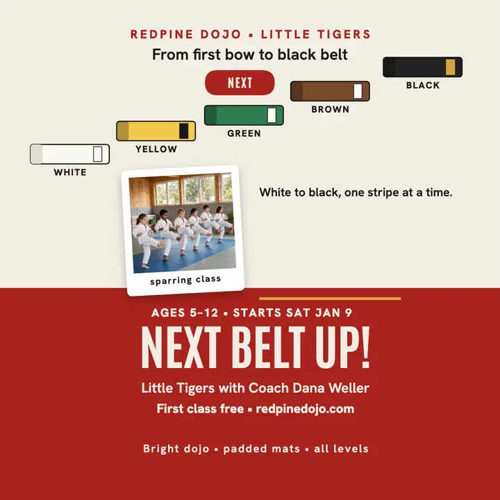 Redpine Dojo belt ladder kids post template