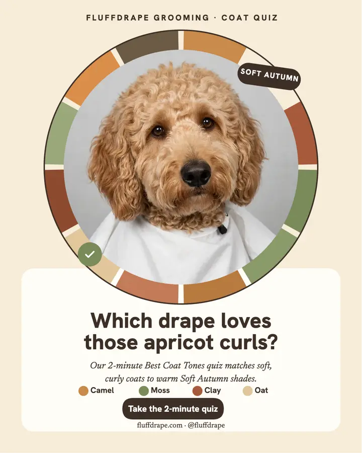 Fluffdrape doodle coat quiz post template