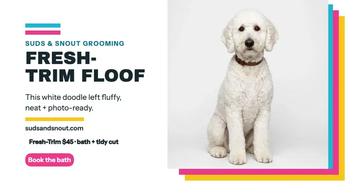 Suds and Snout doodle fresh-trim post: dog grooming promo post template