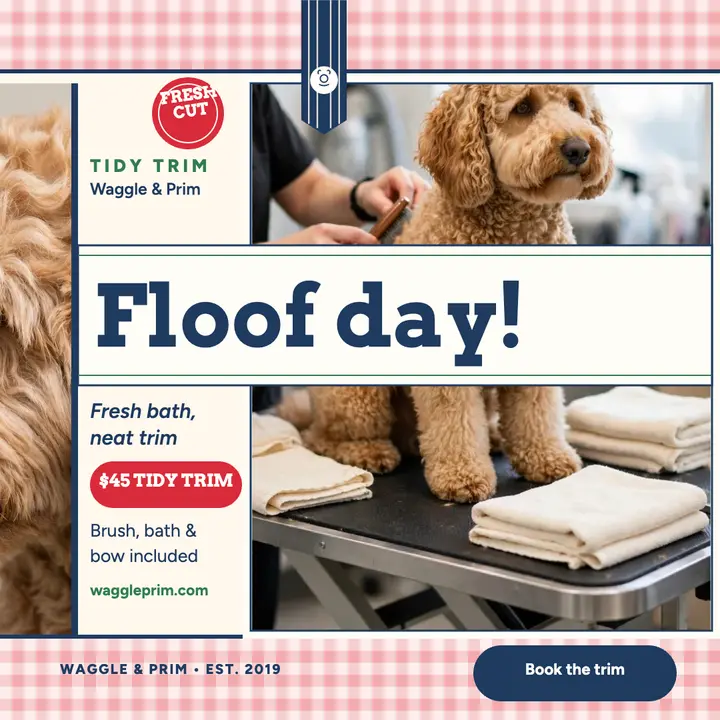Waggle and Prim doodle groom promo template