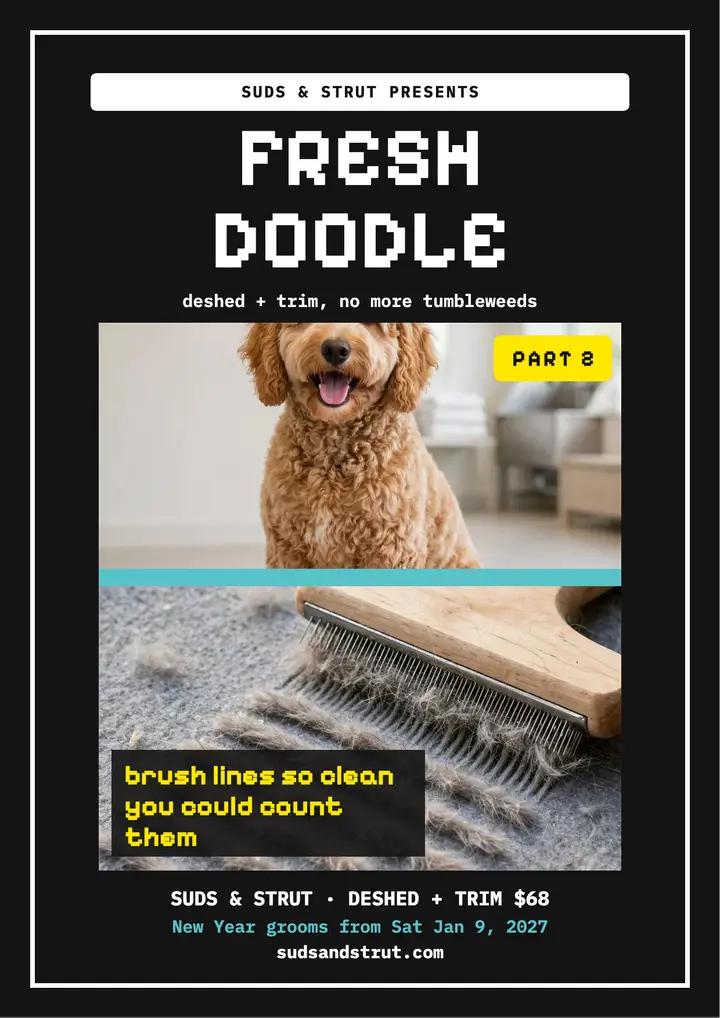 Suds and Strut doodle grooming split flyer: dog grooming flyer template