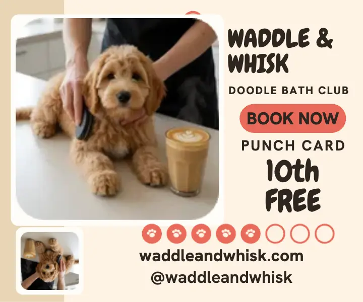 Waddle and Whisk doodle bath punch card ad template