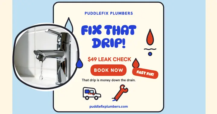 Puddlefix drip fix doodle post template