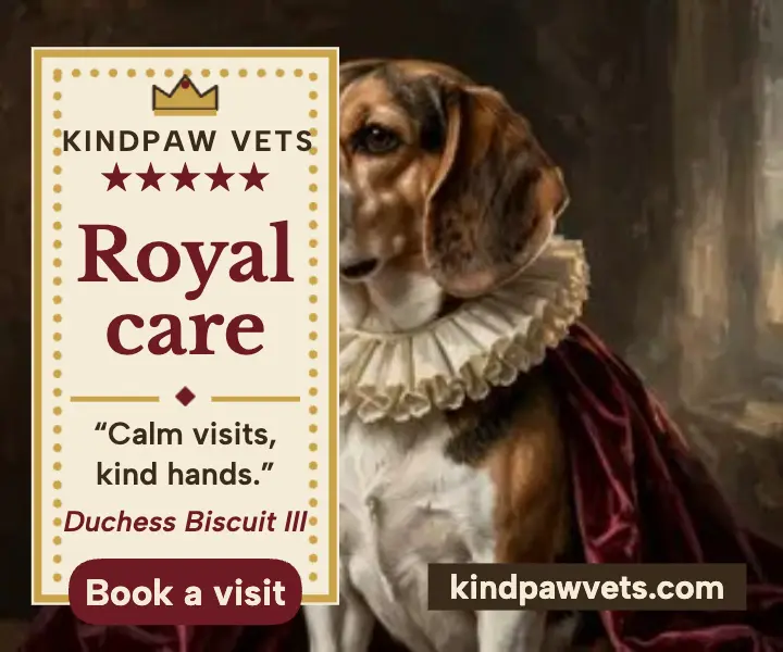 Kindpaw royal dog review ad template