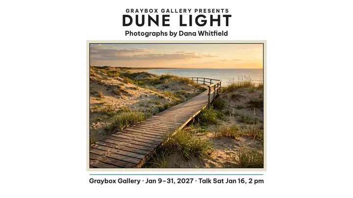 Dune Light coastal exhibition thumbnail template