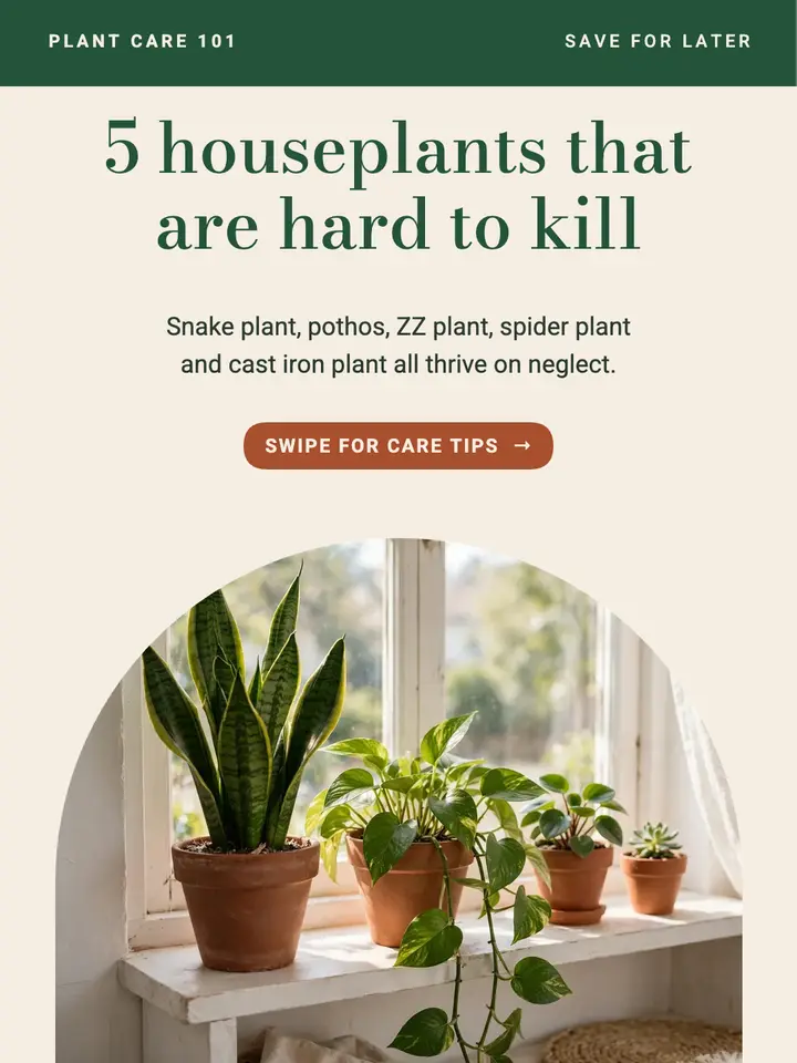 5 houseplants that are hard to kill template
