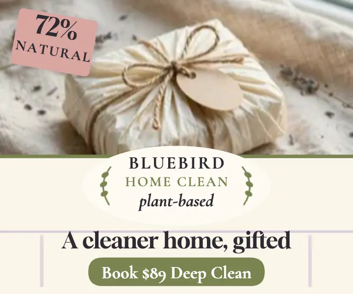 Bluebird eco clean soap gift ad template