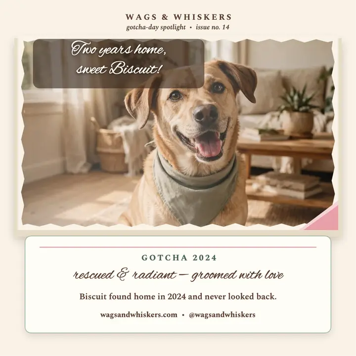 Wags and Whiskers gotcha day pup spotlight template