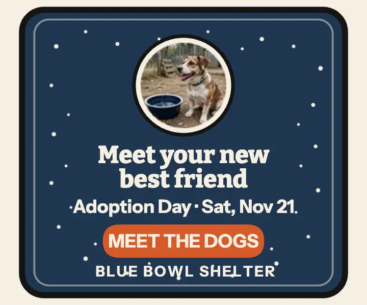 Blue Bowl Shelter adoption day mini ad template