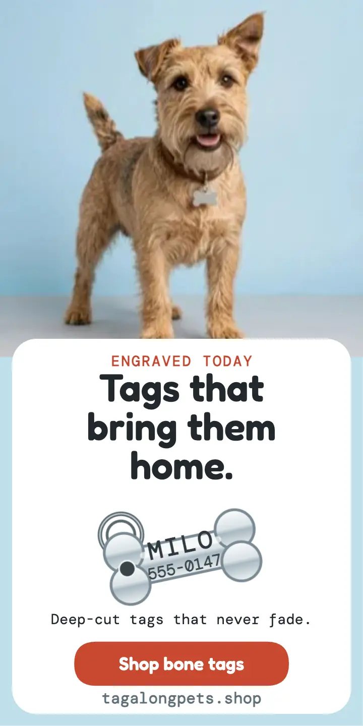 Tagalong Pets engraved tag ad template
